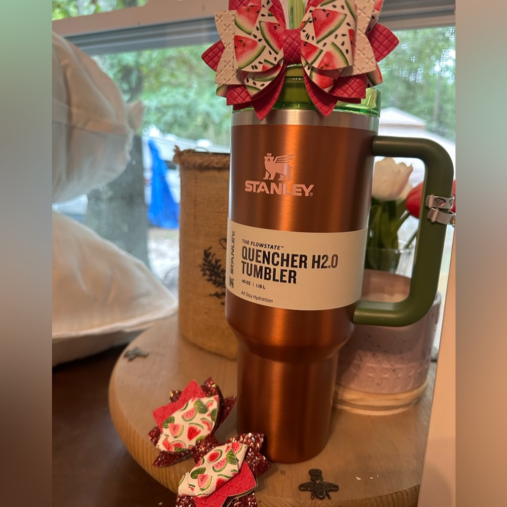 Lainey Wilson Watermelon Moonshine Stanley